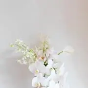 nhの画像