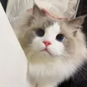 ゆい