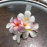 Kitano Megumi