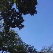 とってぃの画像