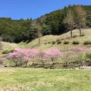 いあの画像