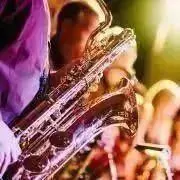 AKAI EWI1000 & EWV2000調整、動作確認済み ソフトケース付き - メルカリ