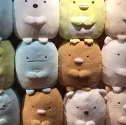羽希の画像