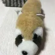 れっきーぱんだ