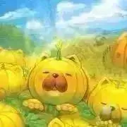 梨子【プロフ必読】の画像