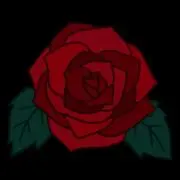 No-No-Girls (ノノガ) トレカコンプリートボックス 開封済み - メルカリ