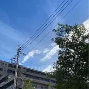 しょうの画像