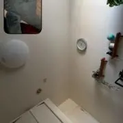 ラウの画像