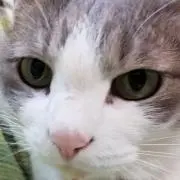 mmmの画像