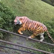 すぱたくの画像