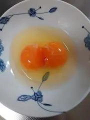 かめの画像