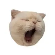 Image of あぱ　(プロフの確認お願いします。