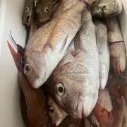 ぬぬぬ
