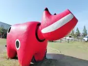 maiの画像