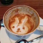 ころん