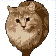 タキ【プロフ必読】の画像