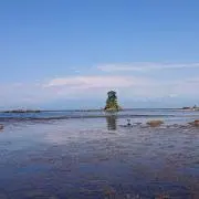 あ