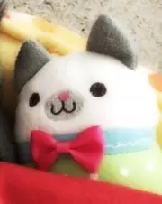 ゆうみいねこの画像