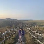 むむむの画像