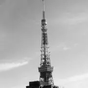 えいえいの画像