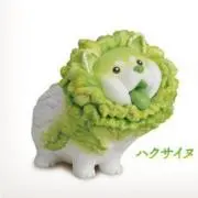 きのこの画像