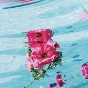 marron《断捨離中》の画像