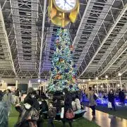 ゆりの画像