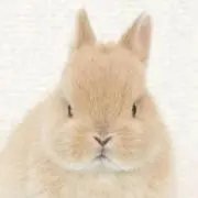 mosmos99☆sakuの画像