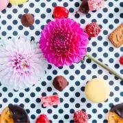 @cocoの画像
