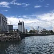 セットの画像