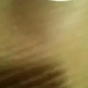 SS