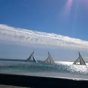 マリハナの画像