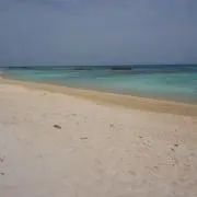 ニライカナイやん