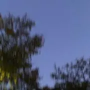 ロコ