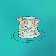 コンタクト
