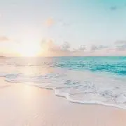 minamoの画像