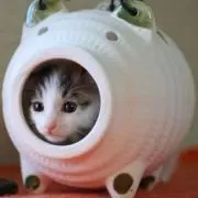 ささき