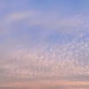Uの画像