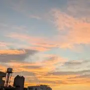 figueの画像