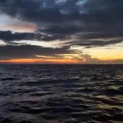 ryoの画像