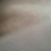 よろしくお願いします