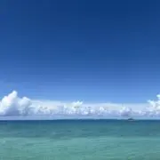 s.mi-kiの画像