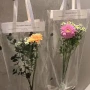 林檎(即購入歓迎)お値下げ◎の画像