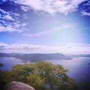 ほっくーの画像