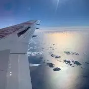 トリッピーの画像