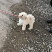 けいた！の画像