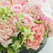 chiru