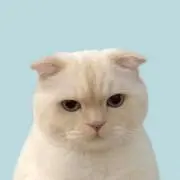 ♩の画像