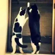 ひろ