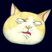 はやぶさの画像